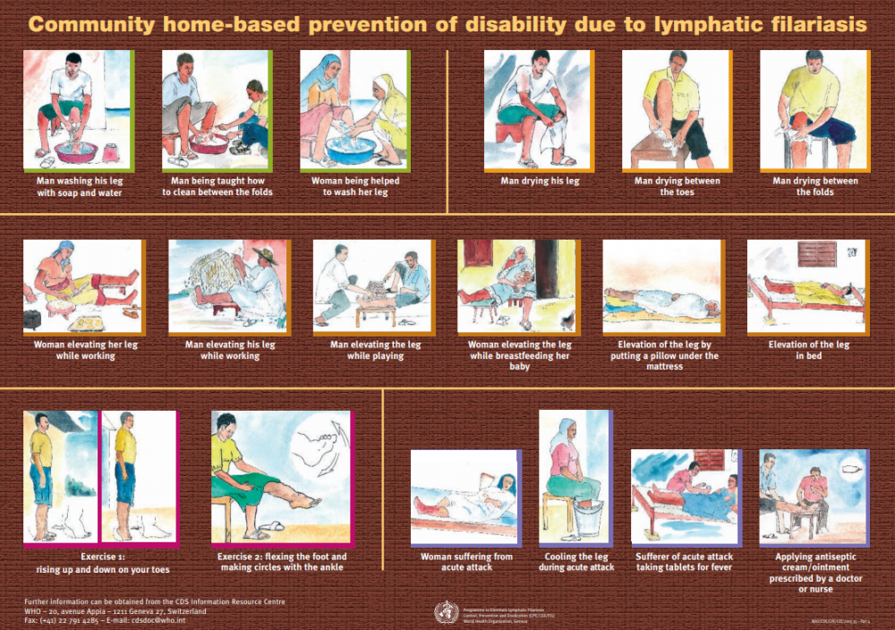 Photo of a flyer entitled Community home-based prevention of a disability due to lymphatic filariasis" with 18 illustrations