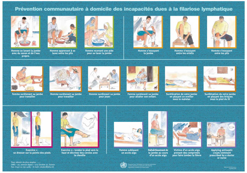 Photo of a French graphic entitled Prévention communautaire à domicile des incapacités dues à la filariose lymphatique with 18 illustrations
